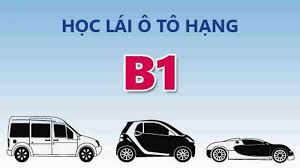 lai-xe-oto-hangB1