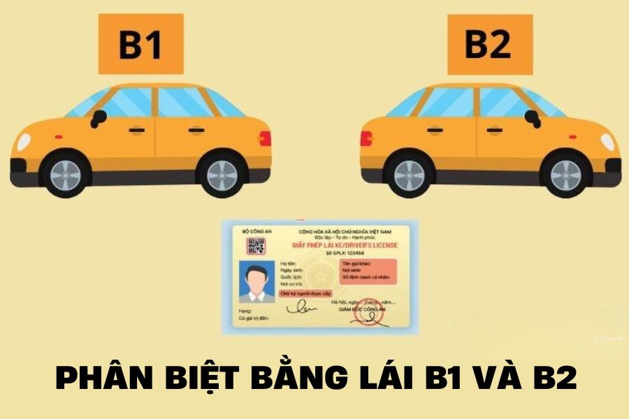 BANG-LAI-XE-B1-VA-B2-CO-GI-KHAC-NHAU