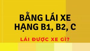 bang-lai-xe-b1-b2-c-lai-xe-gi