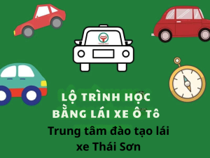 lo-trinh-hoc-bang-lai-XE-oto