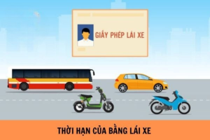 thu-tuc-gia-han-bang-lai-xe-oto